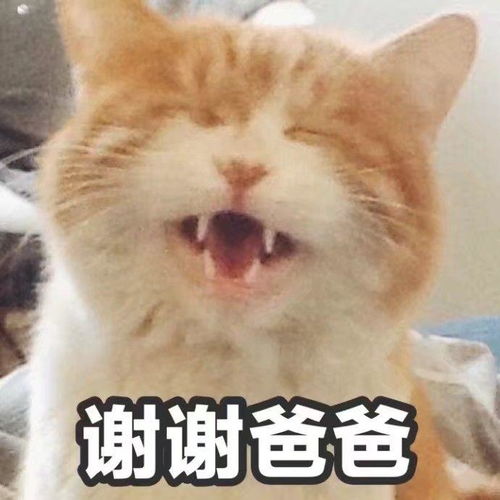 求推荐成年礼穿的平价汉服