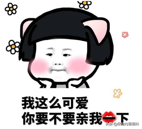 悔保险未续费,救命钱成空