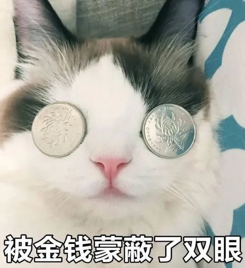 表情包被金钱蒙蔽了双眼