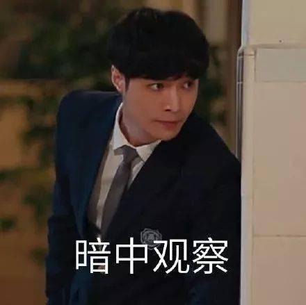 搞笑张艺兴求婚大作战表情包