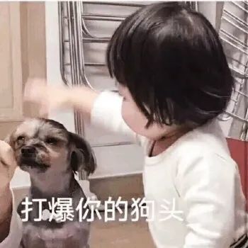 表情包混搭系列酸甜苦辣咸样样都有