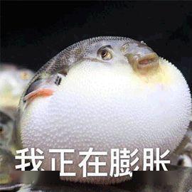 警惕有人因吃它丧命