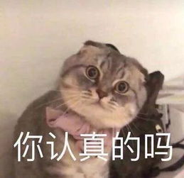 重要通知又一属于漳州人记忆的标志性建筑要拆除重建了