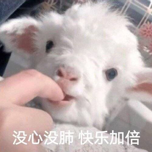pdd邪魔退散表情包沙雕