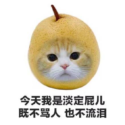 如果水果能说话表情包app下载如果水果能说话表情包安卓版下载