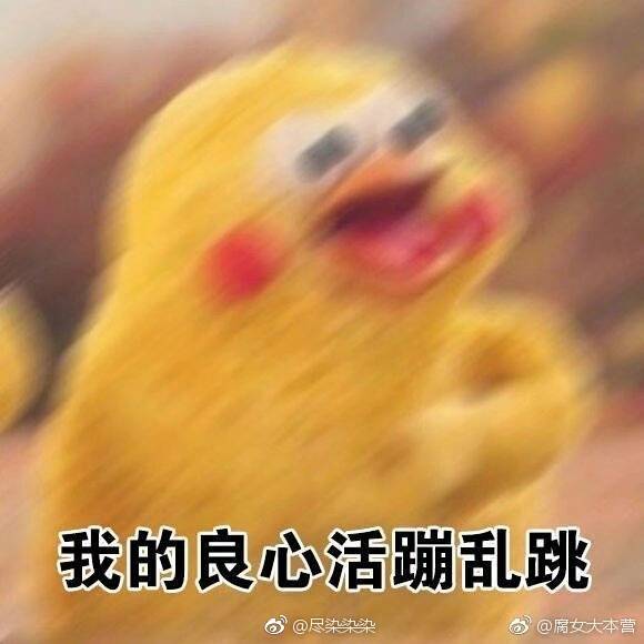 鹦鹉表情包哈哈哈哈