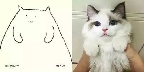搞笑表情包笑趴了画风极酸爽的灵魂画手,把你家猫画成超搞笑表情包