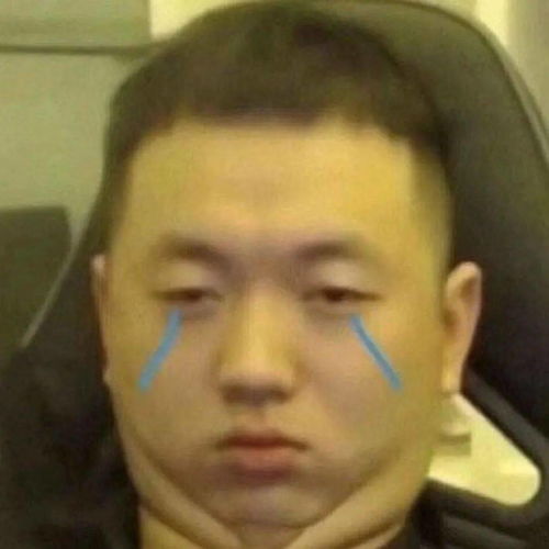 每日沙雕表情包