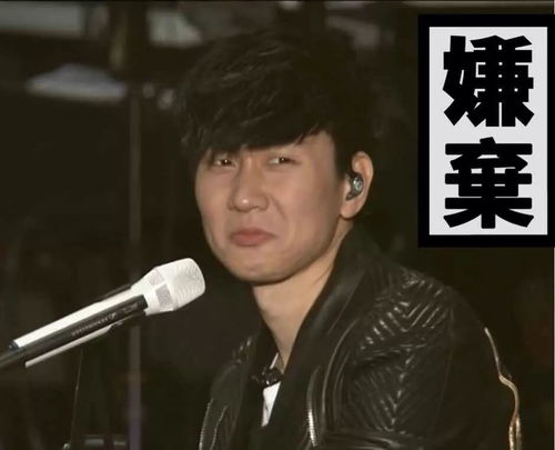 林俊杰努力终使梦想归