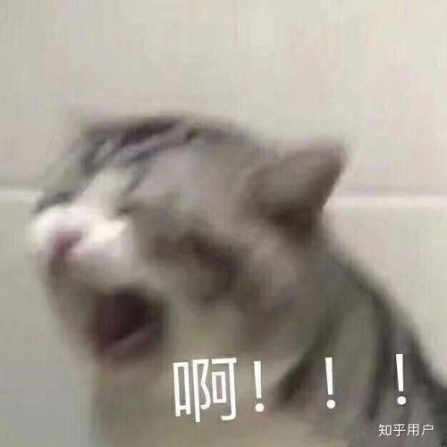 怎么判断高中暧昧的男生是否喜欢自己