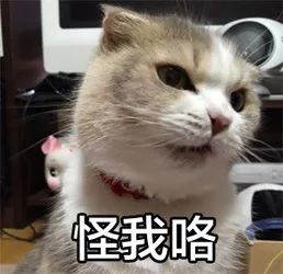 快来斗图第一弹