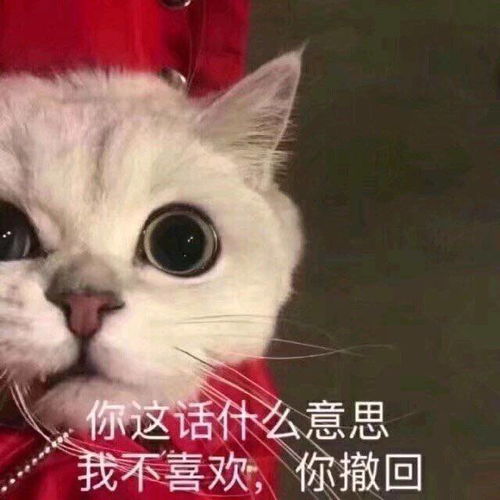 萌宠表情包你说这话是什么意思