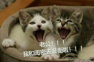 老公表情包下载关于老公的表情包