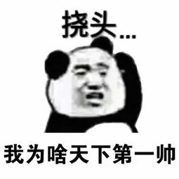 挠头表情包完整版下载熊猫挠头表情包高清无水印极光下载站
