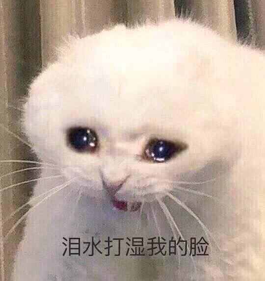 交友啦不找对象啦
