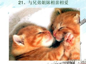 心理健康主题班会之放松心情