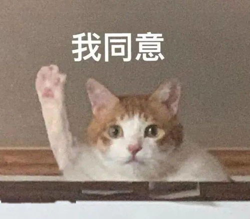 戒赌吧窃格瓦拉表情包金毛