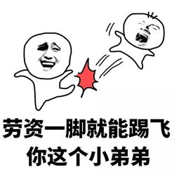 表情包丨劳资一脚就能踢飞你这个二逼