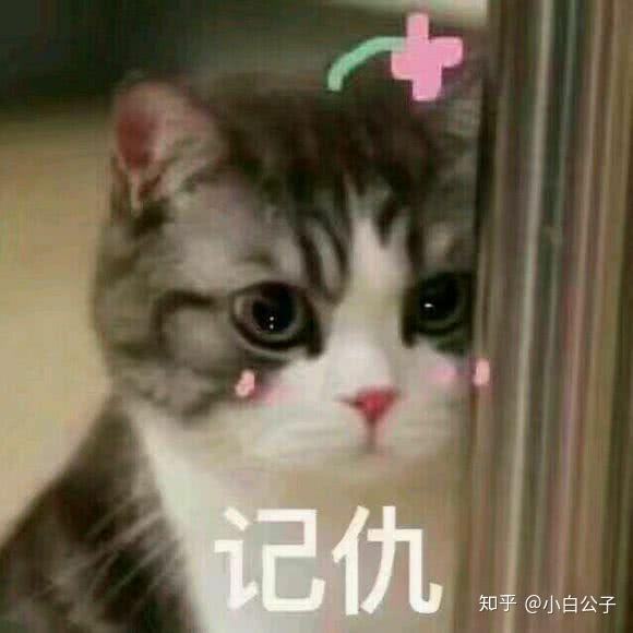 你的男朋友不回你消息怎么办