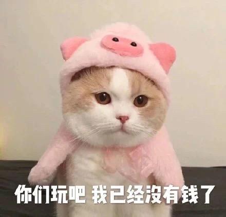 猫咪表情包你们玩吧,我已经没有钱了
