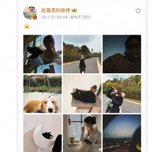 赵露思凌晨突传消息网友祝福