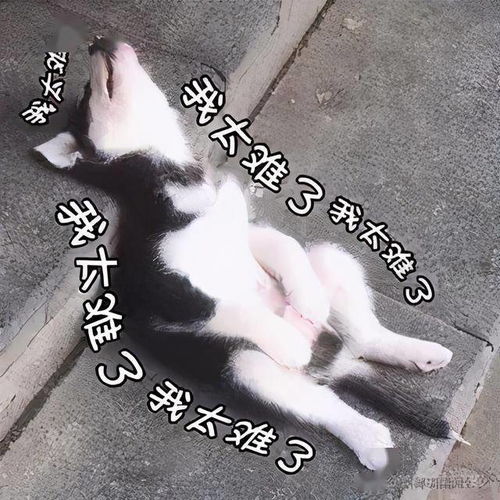 12只名牌包包被偷,警方不仅给追回来了,还鉴定出居然是假货