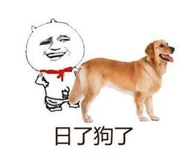 幽默笑话在商言商,虽然我当鸭,但既然出来卖,我也是商人