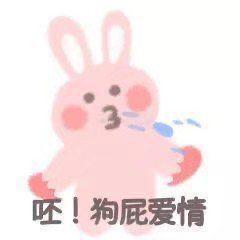 抖音热图表情包塞班,你在哪如何让你爱上我百度书