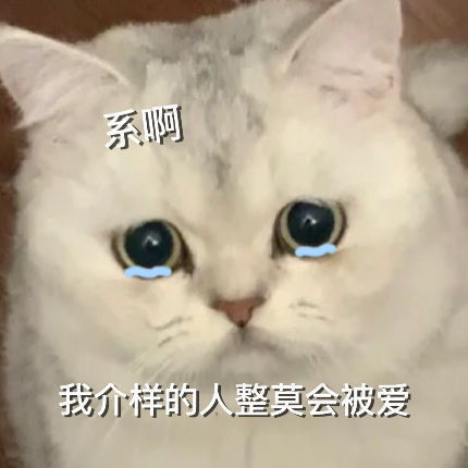 可爱萌宠沙雕表情包第二弹在挨就不里猫了
