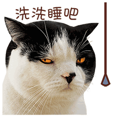 晚安表情包我要睡觉了