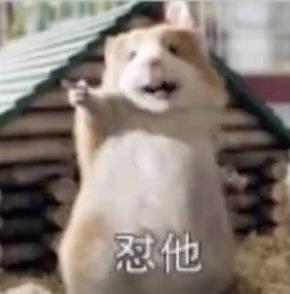 跪求爱情公寓5第35集的表情包,真人和斗图的都要