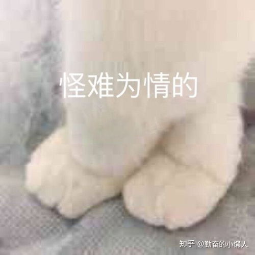 广州租房攻略丨给毕业生的租房小建议