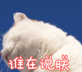 喵大人的表情包又来了,快收