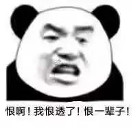 熊猫头表情包做你的红楼梦去吧