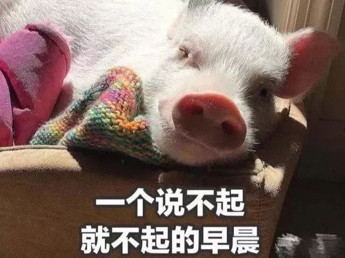 假期弯道超车不虚度,才是打开这个特殊假期的正确方式