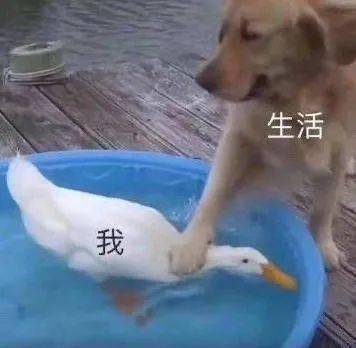 今天是不是被大雨堵在了路上......准备好,明儿滨海还要下