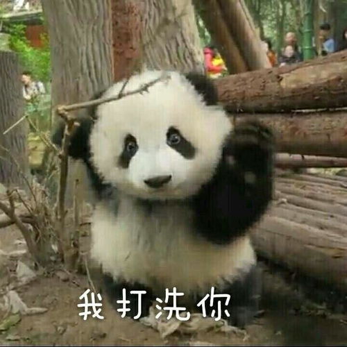 历史逗比集
