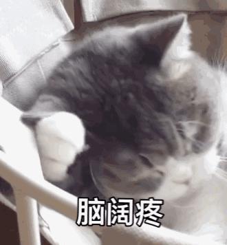 暴雨11级大风天津中秋还能赏月吗
