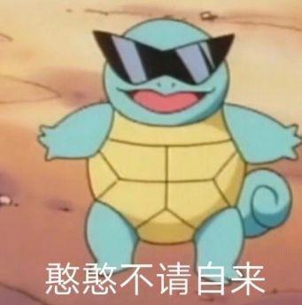 前方大量表情包出没杰尼龟咋就变成憨批代言人了