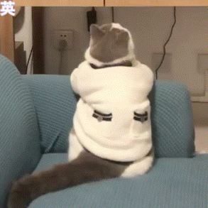危险又撩人的动图表情包
