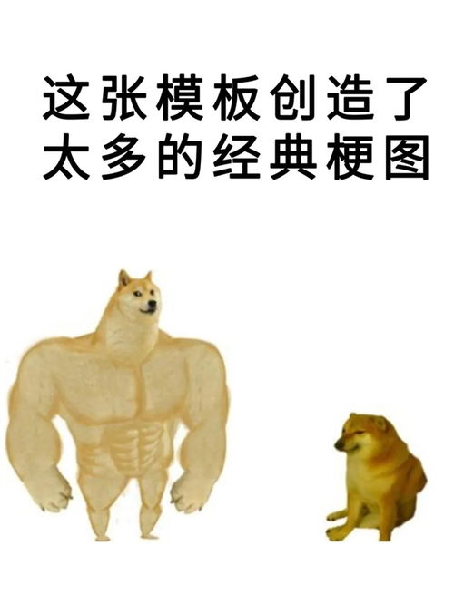 表情包小狗cheems不幸去世这些梗图值得珍藏