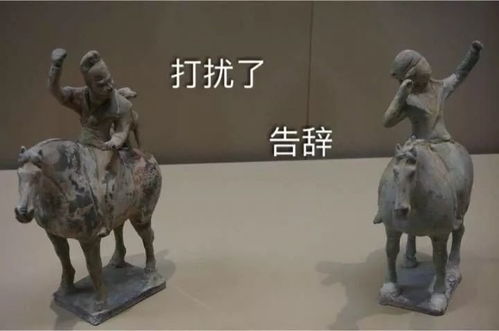 那些年,你做过的鬼畜高考题