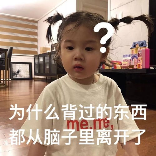 学完就忘学完就忘我该怎么办