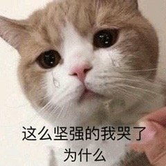 左手比兔兔表情包图片再忙再累也要喝白开水表情包下载乐游网游戏下载