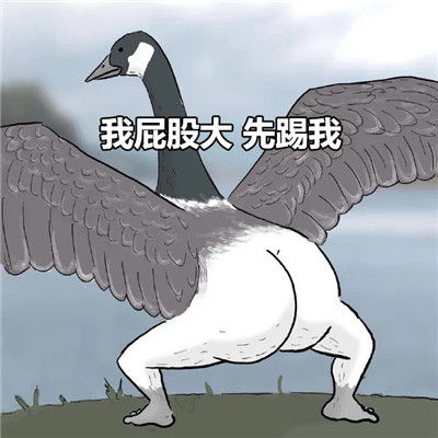 骚里骚气的大鹅踢屁屁表情包我屁股大先踢我