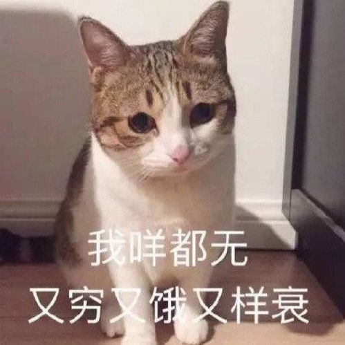 老公我想你了表情包