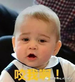 威廉王子凯特王妃将迎来第三个宝宝,看来英国王室表情包队伍又要增添新成员啦