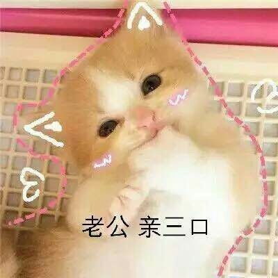 扯衣服撒娇表情包