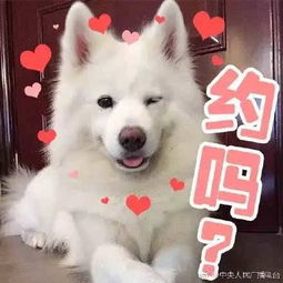 只要胆子大,哪里都是自己家