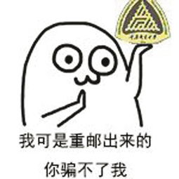 重庆晨报数字报